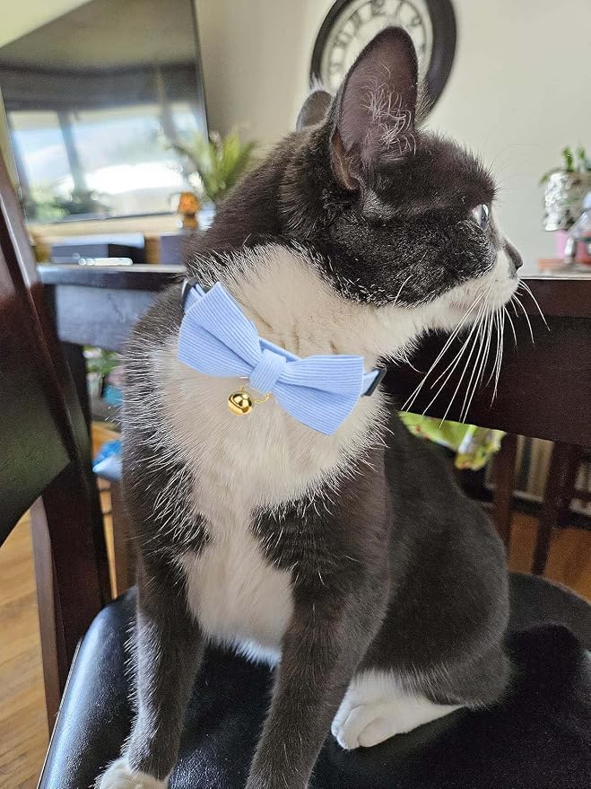 Cotton Breakaway Cat Collar - Image 6
