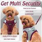 AIITLE Step in Dog Harness and Leash Set - Image 6