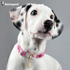 Cotton Dog Collar Light Pink Flower Pattern - Image 5