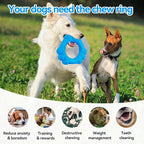 Indestructible Dog Chew Ring Toys - Image 5