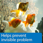 API 5-IN-1 TEST STRIPS Freshwater and Saltwater Aquarium Test Strips 100-Count - Image 5