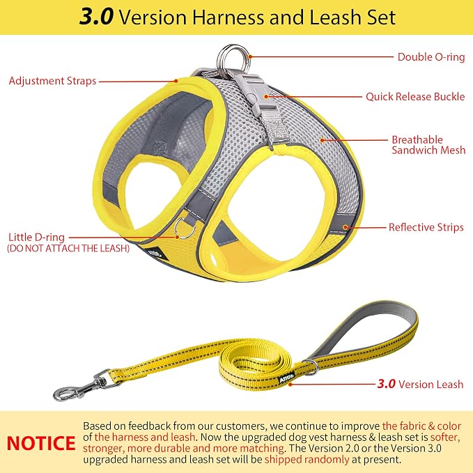 AIITLE Step in Dog Harness and Leash Set - Image 4