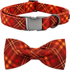 Fall Dog Collar, Pet Collar by BoboRainbow