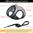 AIITLE Escape Proof Dog Harness - Image 4