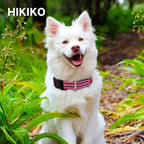 Hikiko Martingale Dog Collars Reflective Nylon Dog Collar - Image 2