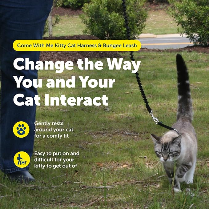 PetSafe Come with Me Kitty Cat Harness & Bungee Leash - Image 3
