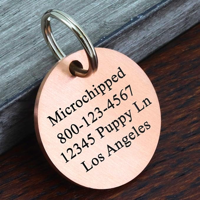 Ultra Joys Personalized Stainless Steel Dog and Cat Tags, Front and Back - Image 2