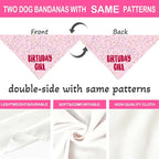 Birthday Girl Dog Bandanas 1 Pack, HBD Pet Scarves - Image 4