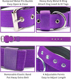 Heavy Duty Tactical Dog Collar - Image 3