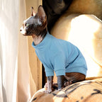 PUMYPOREITY Cat Clothes: Stretchy Shirt, Sweater - Image 4