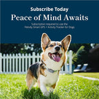 Petivity Smart GPS and Activity Pet Tracker - Image 10