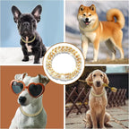 Diamond Cuban Style Dog Chain Collar Bling Gold Walking Necklace - Image 2