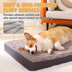 XL Orthopedic Dog Bed - Image 2