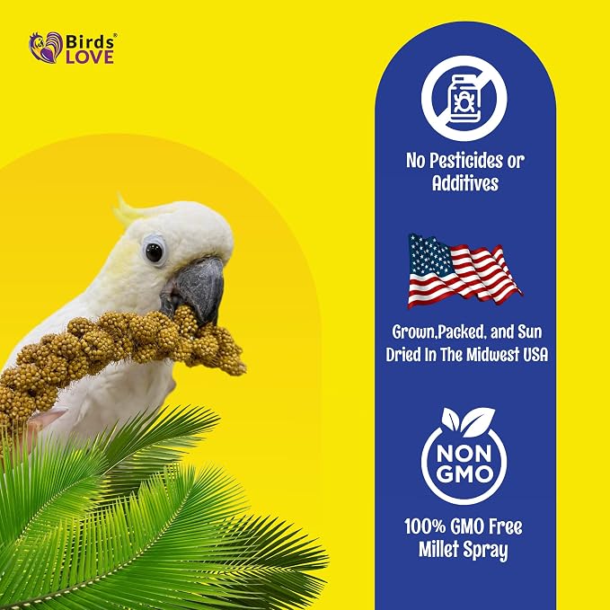 Birds LOVE Economy Special Spray Millet GMO-Free - Image 5