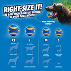 Chuckit Ultra Squeaker Dog Ball - Image 4