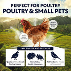 4 x 5.5lb Chickie Whiz Dust Bath, All-Natural Chickie Whiz Dust Bath Powder - Image 4
