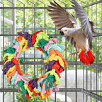 Parrot Swing for Large Birds - Image 4