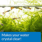 API ACCU-CLEAR Freshwater Aquarium Water Clarifier 1.25-Ounce Bottle - Image 6