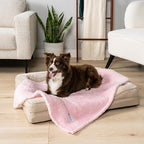PetAmi Dog Blanket for Small Medium Dogs, Calming Pet Throw for Couch Sofa Bed - Image 2