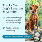 Petivity Smart GPS and Activity Pet Tracker - Image 2