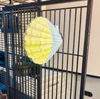Polly's Comfy Clam Parrot Cage Flat Bird Perch - Image 5