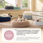 Bedsure Calming Dog Bed for Medium Dogs - Image 2