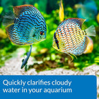 API ACCU-CLEAR Freshwater Aquarium Water Clarifier 1.25-Ounce Bottle - Image 5