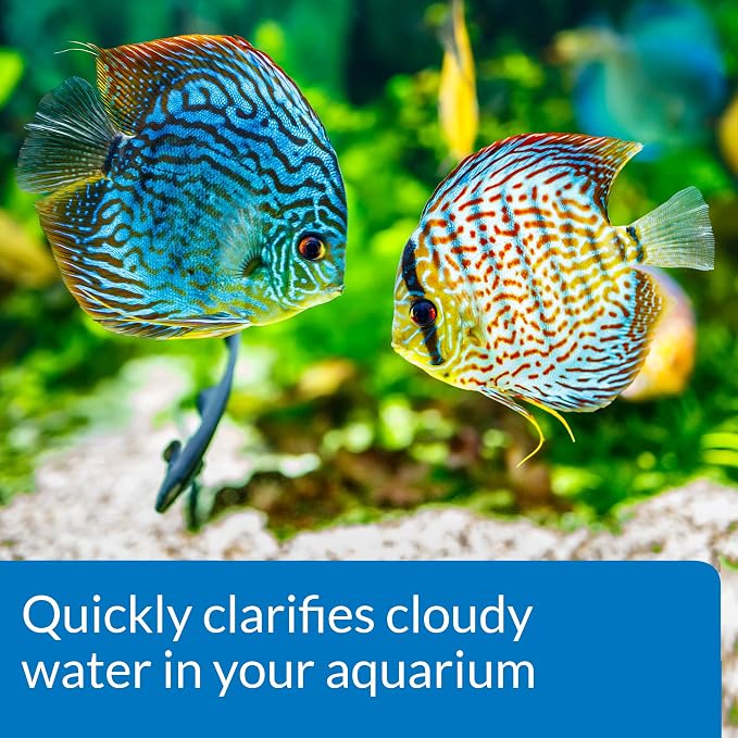 API ACCU-CLEAR Freshwater Aquarium Water Clarifier and API TAP WATER - Image 4