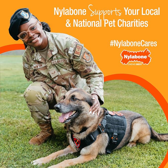 Nylabone Limited Edition 70th Birthday Donut Power Chew Toy - Image 8