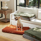FUKUMARU Dog Bed, Thickened Corduroy Orthopedic Dog Beds - Image 9