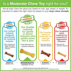 Nylabone Original Bone Flexi Chew Toy - Image 11