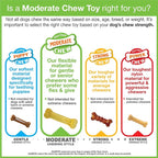 Nylabone Original Bone Flexi Chew Toy - Image 11