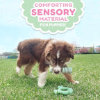 Nylabone Sensory Material Soothing Puppy Chew Toy Ring, Toys - Image 5
