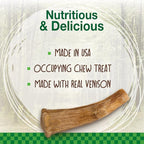 Nylabone Healthy Edibles WILD Natural Dog Chew Treats - Image 4