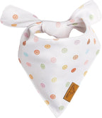Remy+Roo Large Spring Dog Bandanas - Image 5