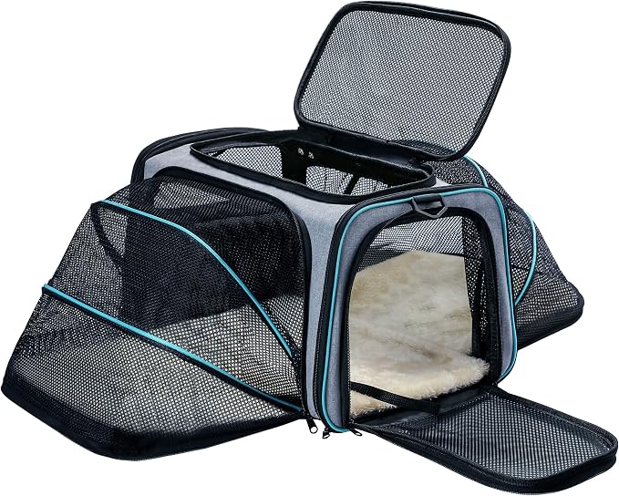 Cat Dog Carrier by TDHDIKE