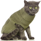 Stretchy Cat Sweater - Image 3