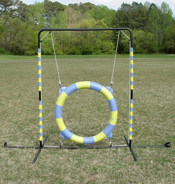 Agility Tire Jump - Image 6