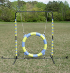 Agility Tire Jump - Image 6