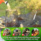 Anothera 20Pcs Chicken Wire Cloche Plant Covers, 9.2×9.2 Inches Plant - Image 4