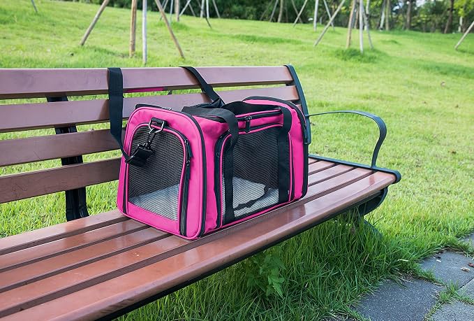 Soft Sided Carrier for Small Medium Cats Dogs, Removable Pad Collapsible Travel - Image 5