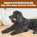 SPOT Bam-Bones Plus Branch -Bamboo Fiber & Nylon, Durable Long Lasting Dog Chew - Image 9