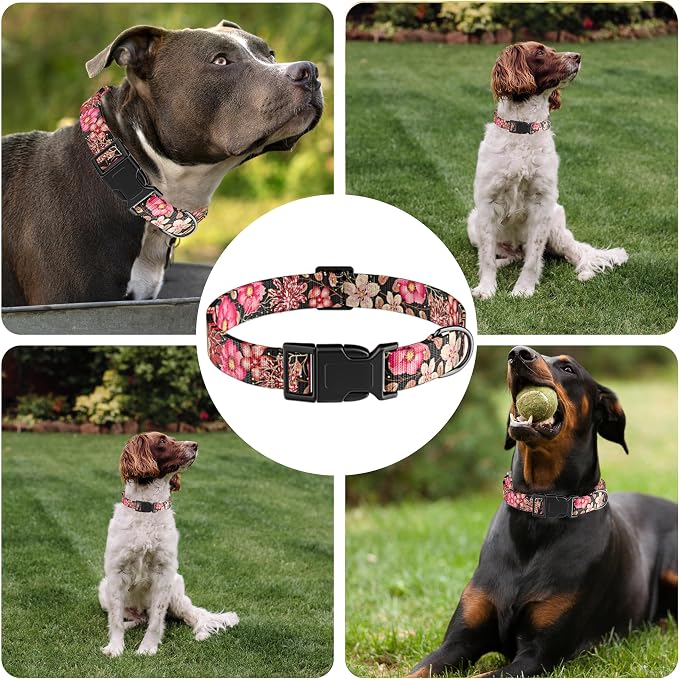 Dog Collar for Boys Girls, Flower Puppy Collar for Small Medium Large Dogs - Image 6