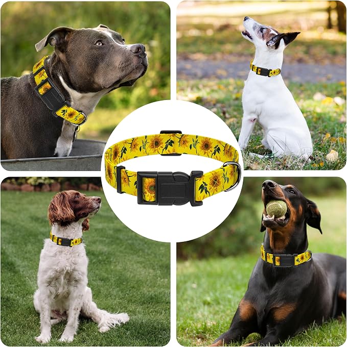 Dog Collar, Floral Boys Girls Puppy Collar - Image 6