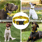 Dog Collar, Floral Puppy Collar - Image 6