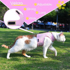 Cat Harness and Leash for Walking Escape Proof Breathable Mesh Fabric, Solid - Image 5
