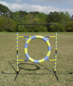 Agility Tire Jump - Image 7