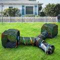 LUCKITTY Outdoor Rainbow Cat Enclosures Playground, Outside House by MAKEPETLUCKY-WelcometoCatTunnelClub