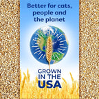 sWheat Scoop Natural Wheat Cat Litter, Fast Clumping - Image 8