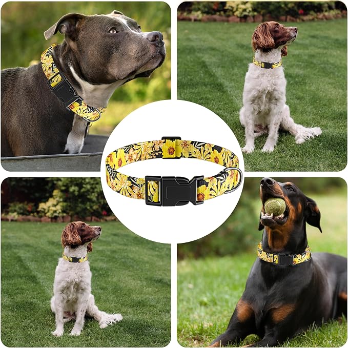 Dog Collar for Boys Girls, Puppy Collar for Small Medium Large Dogs, Adjustable - Image 6